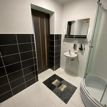 Shulc Guest house Mizhhirya (Transcarpathia)